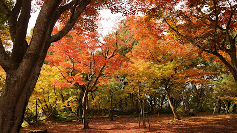 Koshiji Maple Garden, 
