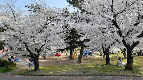 Hamadera Park, 다카이시 시