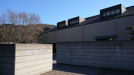 Tamagawa Museum of Modern Art, 