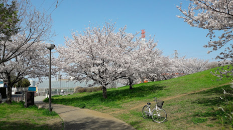 Shindootsukayama Park, 