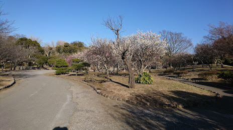 Uchiminowaundo Park, 기미쓰 시