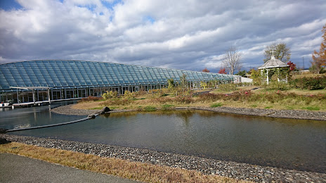 最上川ふるさと総合公園 センター ハウス, Sagae