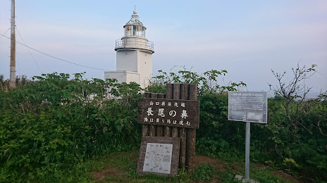 Mishima Island, 하기 시