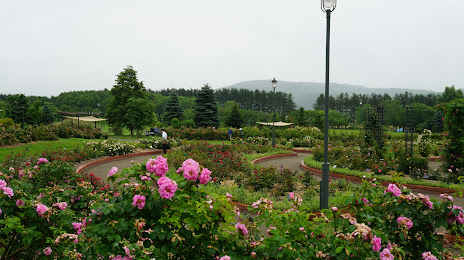 Iwamizawa Park, 이와미자와 시