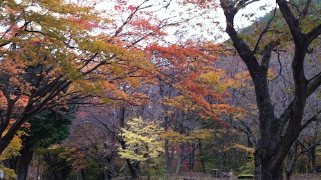 Ishinomakishi Ogachisogoshishoogachi Forest Park, 