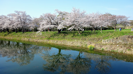 Fukuokazeki Sakura Park, Mitsukaido