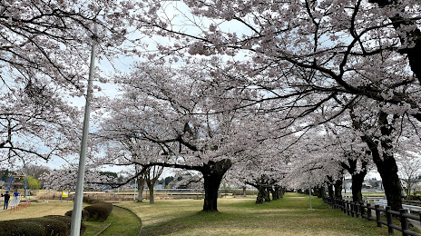 Kashiwabaraike Park, 
