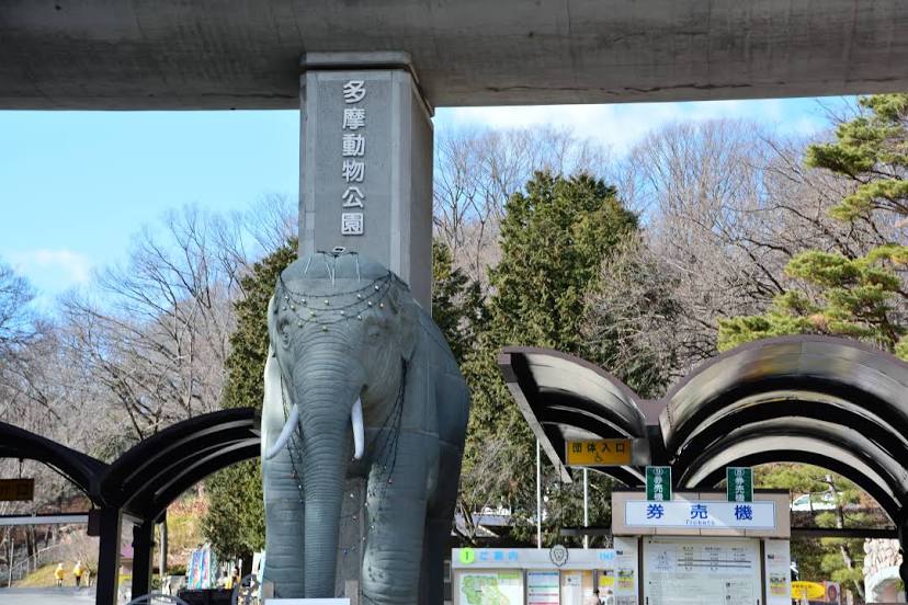 Tama Zoological Park, Hachioji
