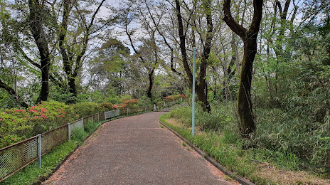 Hirayamajoshi Park, 