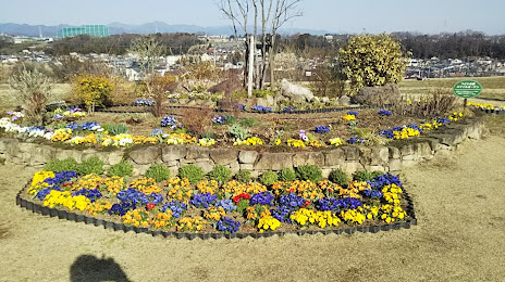 Katakura Tsudoinomori Park, 