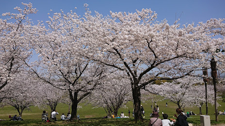 Kasuga Park, 후쿠야마 시