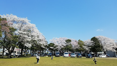 Sakuragaoka Park, 