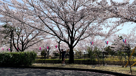 Daiichisankyonakasato Park, 
