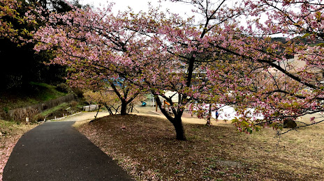 Radiant Hananooka Park, 니노미야 초