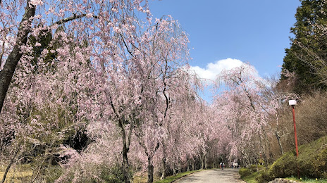 Kozan Sera village of Friendship, 