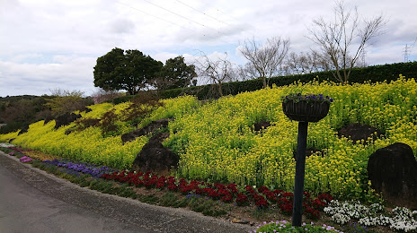 Fukuchi Sanroku Flower Park, 노가타 시