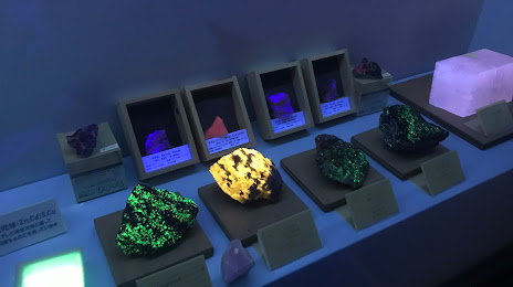 Museum Mineralist Earth Jewelry Box, 