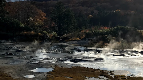 Oyunuma marsh, 가즈노 시