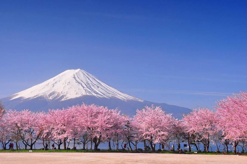 Mount Fuji, Fujinomiya