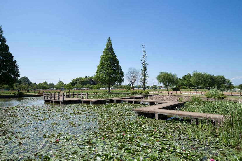 Akebonoyama Park, Abiko