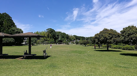 Nakabyokamedaya Park, 
