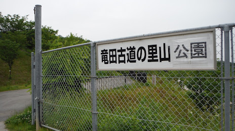 Satoyama (Village forest) park on Tatsuta kodou (Historical way), 가시와라 시