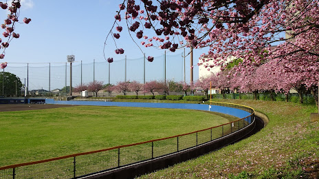 Matsudo Sports Park, 