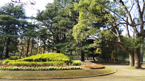 Matsudo Central Park, 마쓰도 시