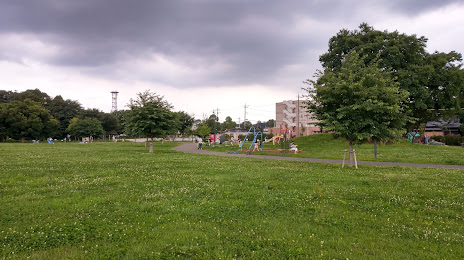 Shiroi Comprehensive Park, 마쓰도 시