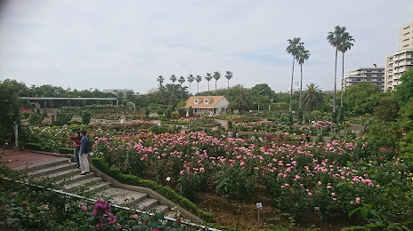 Yatsu Rose Garden, 나라시노 시