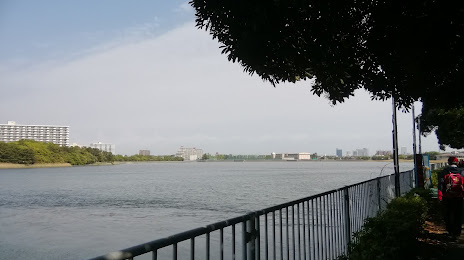 Yatsuhigata Park, 나라시노 시
