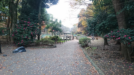 Fujisaki Forest Park, 나라시노 시