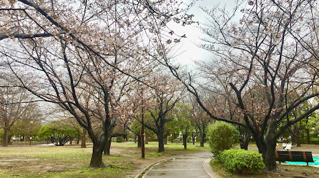 Tanitsu Park, 