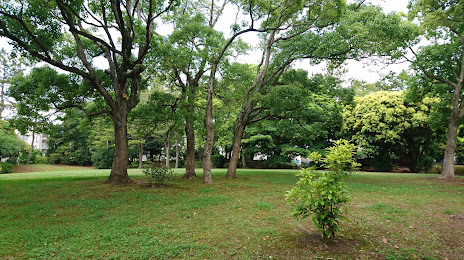 Makuharinishi Daini Park, 