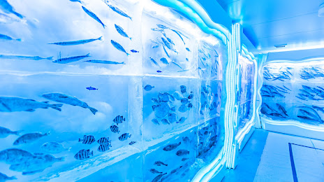 Ice Aquarium, 게센누마 시