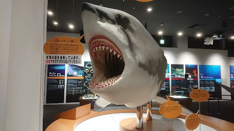Kesennuma Shark Museum, 게센누마 시