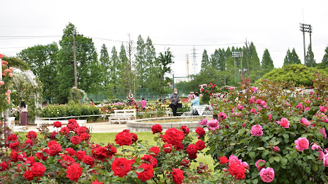 Chosei Seko Memorial Park, Hasuda
