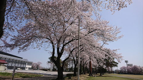 Fujiyama Park, 가미노카와 초