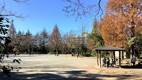 Shin-Matsudo Central Park, 