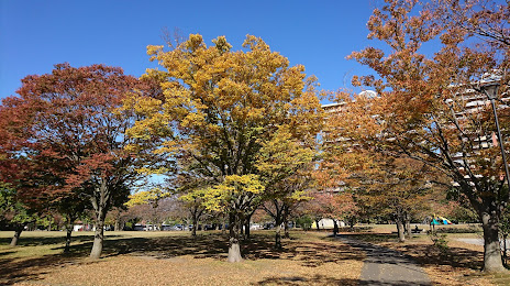 Takasu Central Park, 