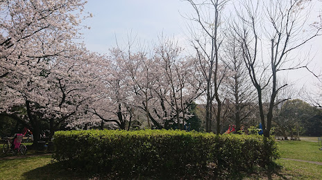 Mihama Park, 