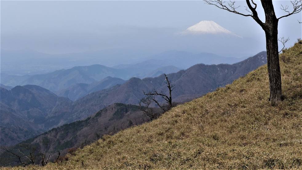 Mount Tanzawa, Σαγκαμιχάρα