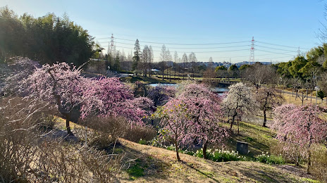 Odai Park, Anjō