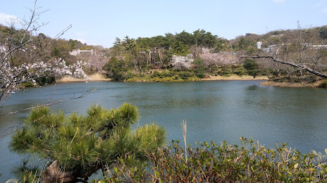 Hikoza Park, 