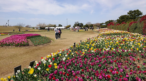 Yoshida Park, Fujieda