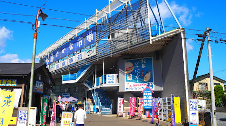 Matsushima Fish Market, 마쓰시마 초