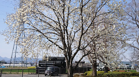 Okanogo Ryokuchi Park, 