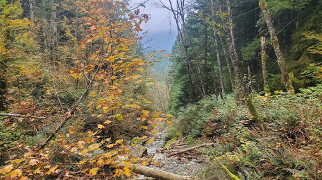 Evan's Valley Trail, Maple Ridge