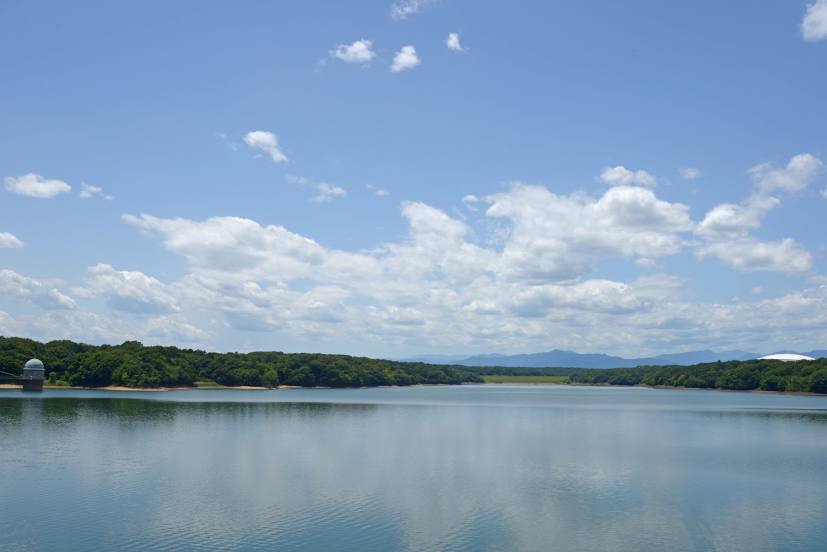 Tama Lake, 도코로자와 시