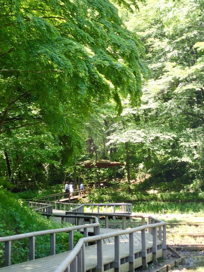 Noyamakita-Rokudōyama Park, 도코로자와 시